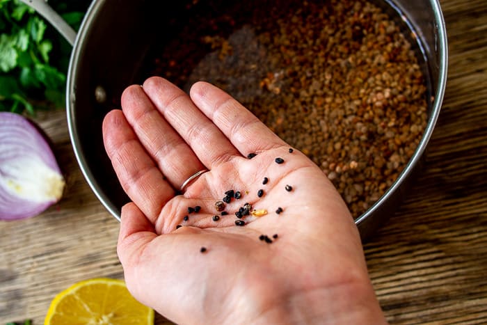 Hand holding pebbles from dry lentils