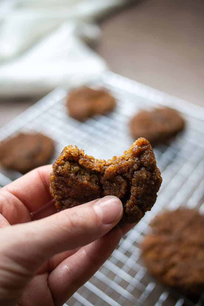 Hand Holding Half Eaten Cookie