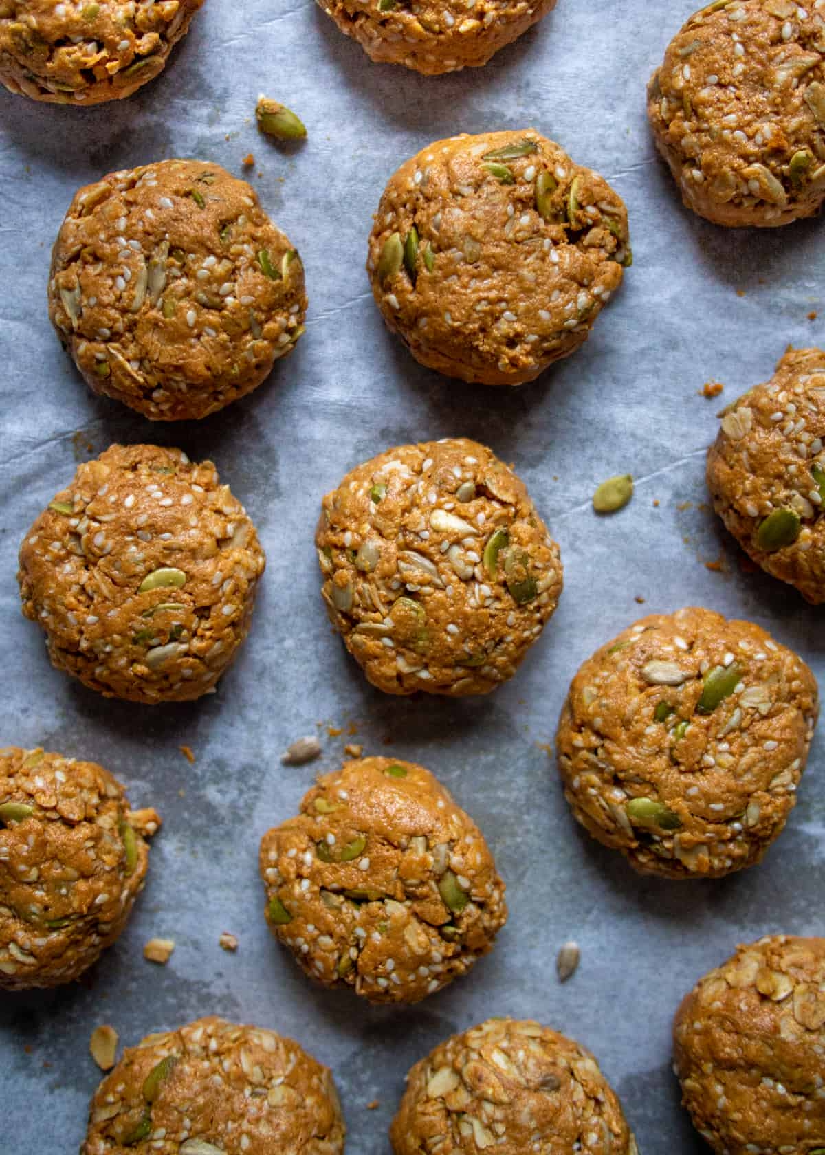 Close up of seed cookies on a baking tray